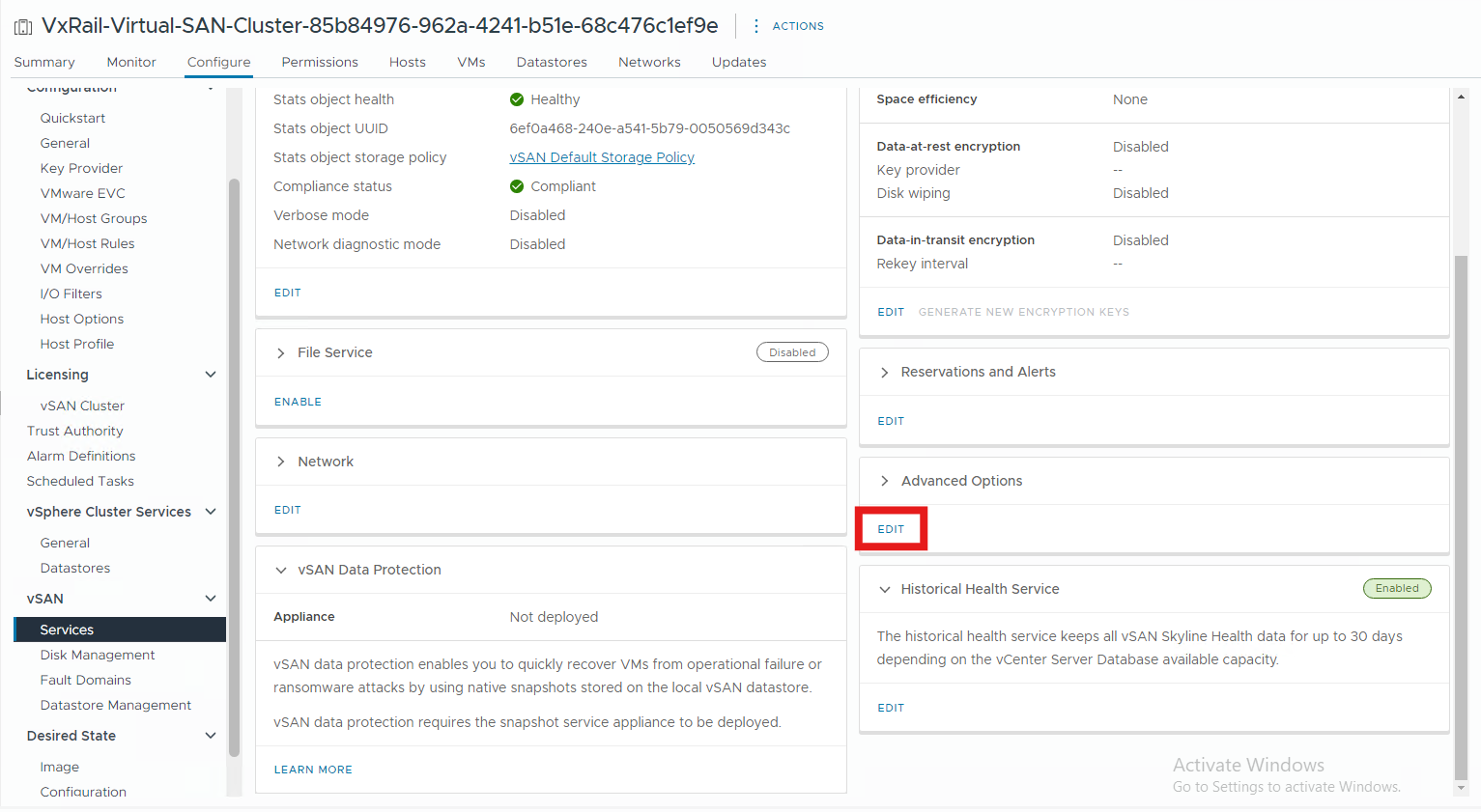 Screenshot of advanced options edit