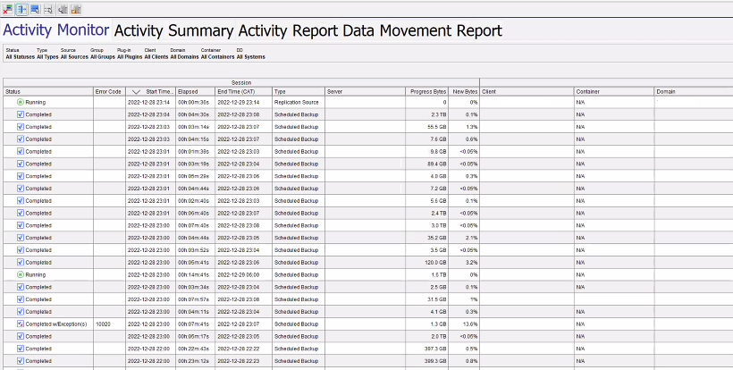 Avamar Java UI Activity Suammary Report