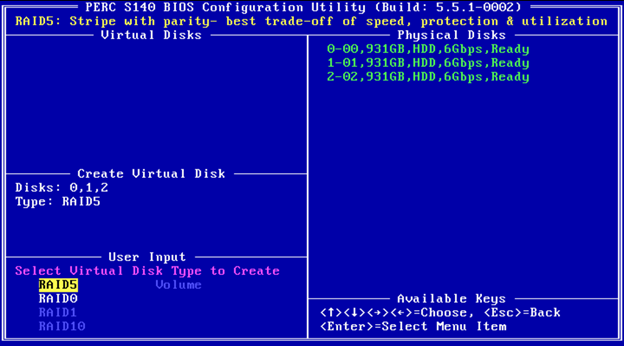 W polu User Input użyj klawiszy strzałek, aby wybrać typ dysku wirtualnego (poziom RAID), i naciśnij klawisz Enter.