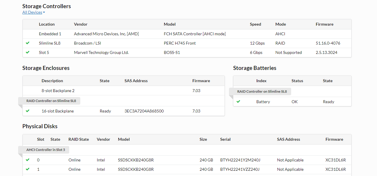 显示存储控制器输出的 iDRAC GUI 1