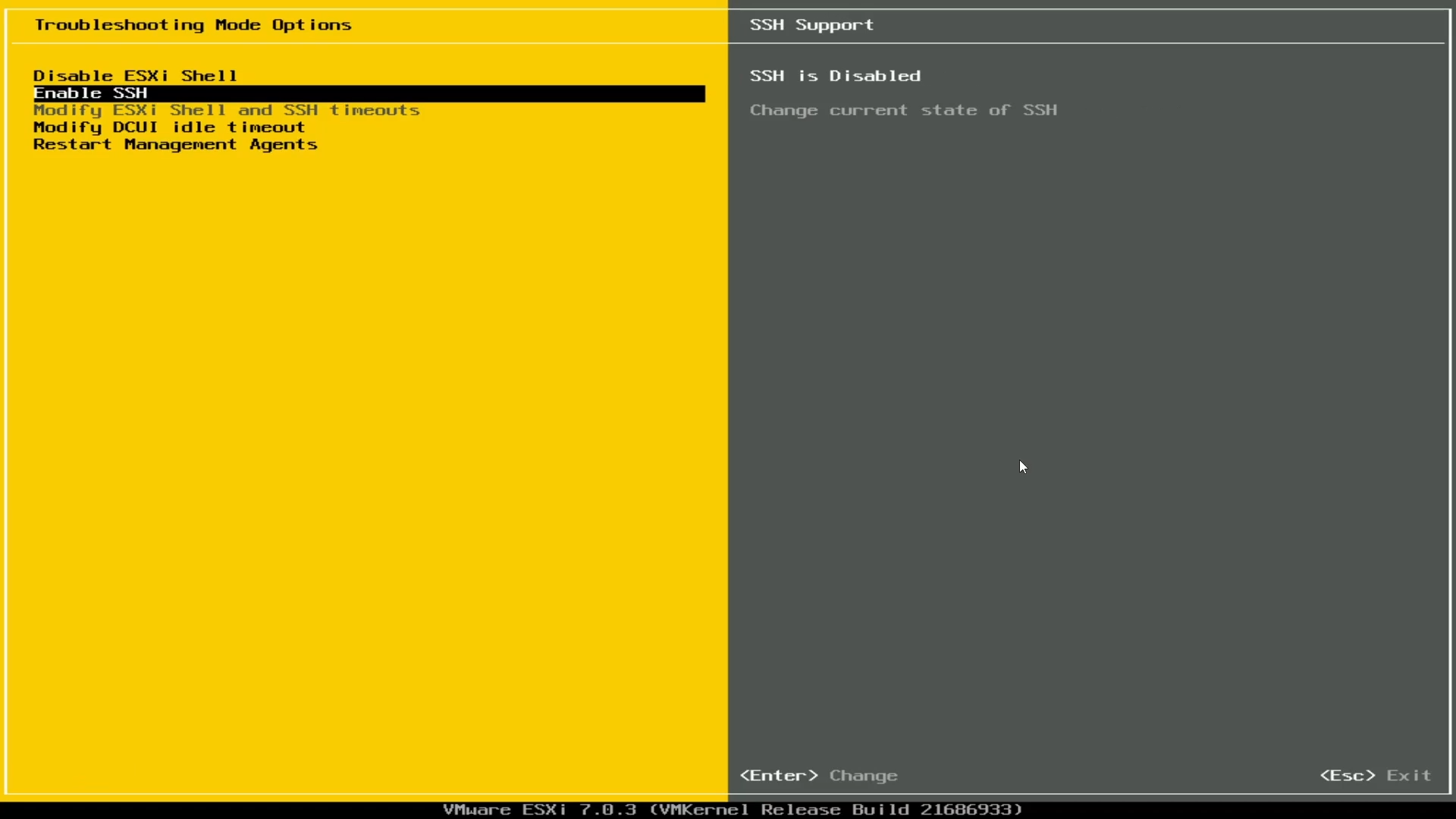 ESXi 셸 활성화, SSH 활성화