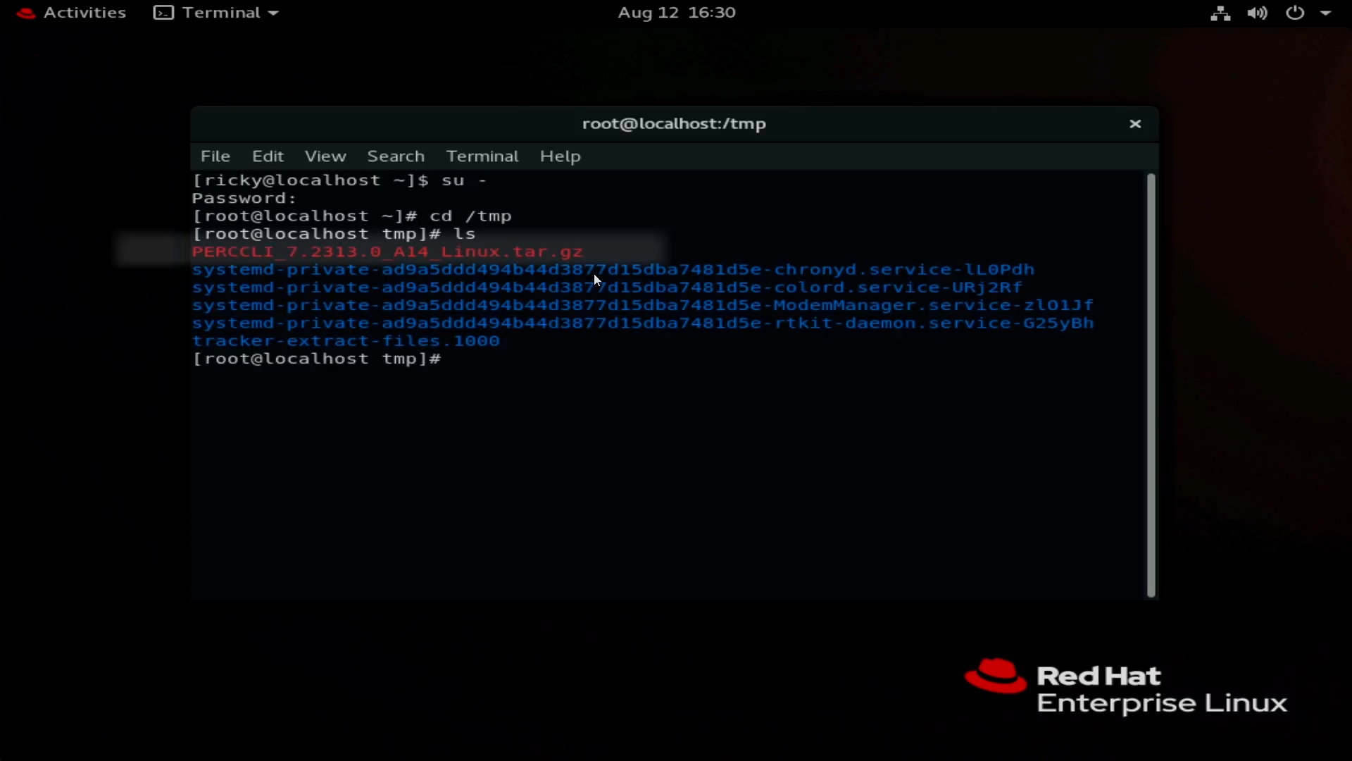 Fil vist i terminal efter overførsel via WinSCP.