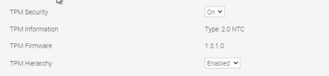 TPM'nin doğru raporlandığını gösteren BIOS ayarları ekranı
