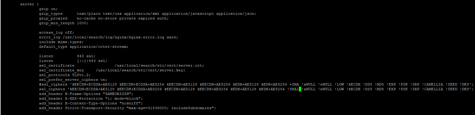 Screenshot of nginx.search.conf file