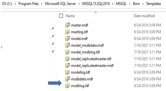 Visar filplatsen för MSDB-databasen och loggmallarna. 