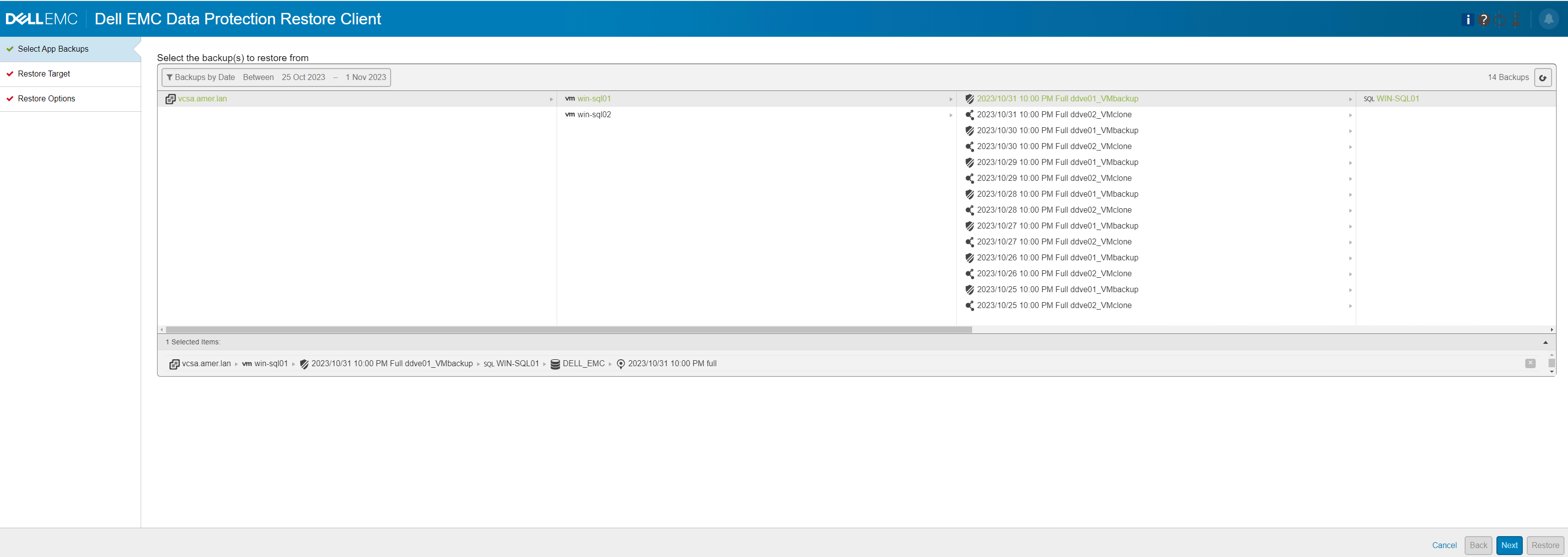 Opciones de selección de respaldo de la VM de origen del cliente de restauración de protección de datos.