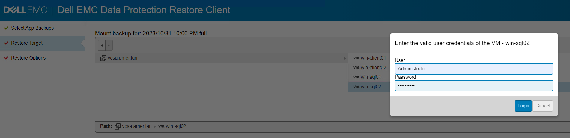 Selección de VM de destino y opciones de montaje