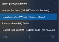 Multiple playback devices naming