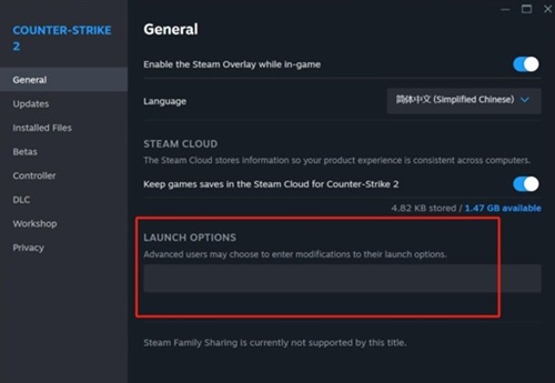 Options de lancement