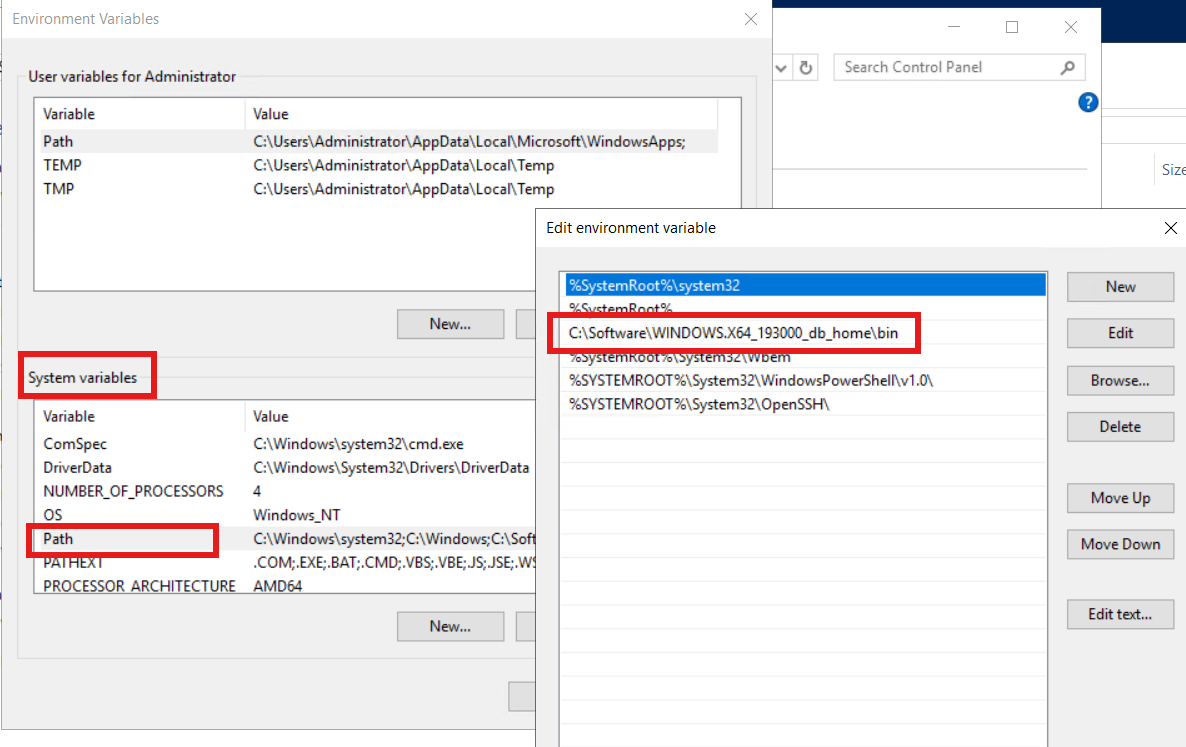Environment Variables screen