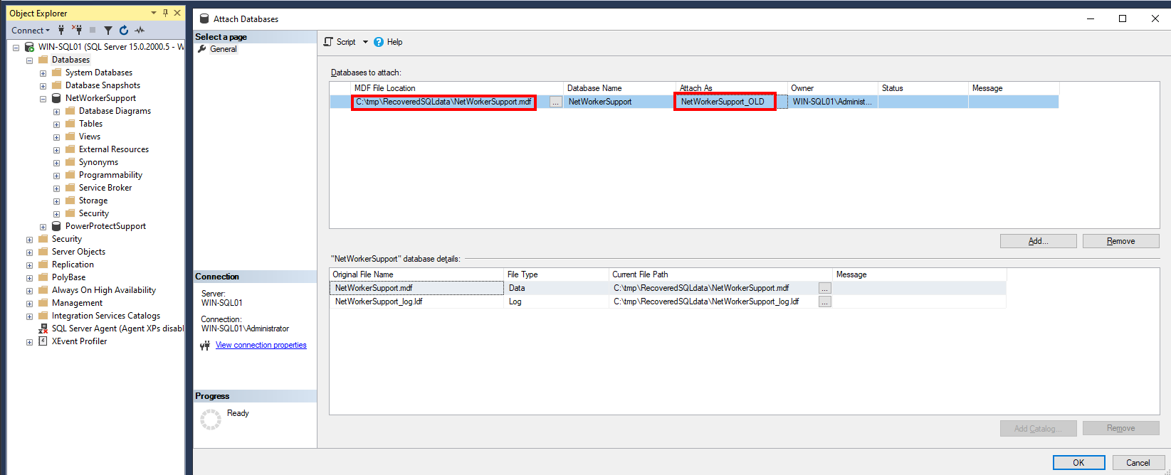 SQL veritabanını yeni veritabanı olarak içe aktarma