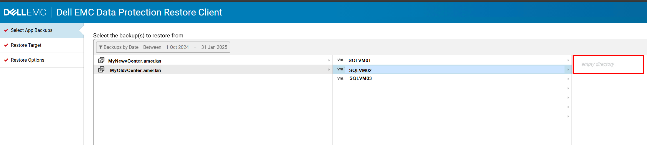 Data Protection Restore Client hiçbir yedek göstermiyor