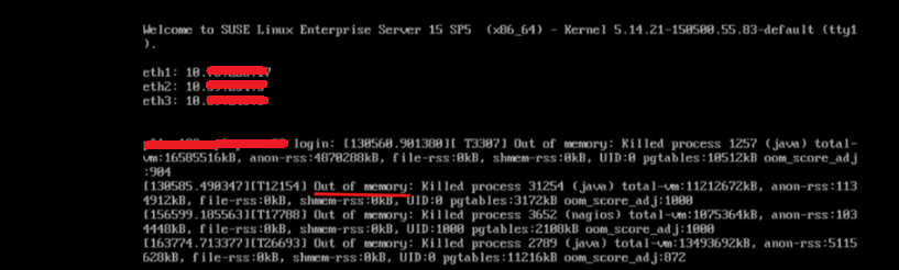 Checking the MVM VM Virtual Console