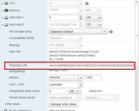 vSphere, fysisk LUN