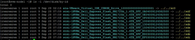 ls -l /dev/disk/by-id/