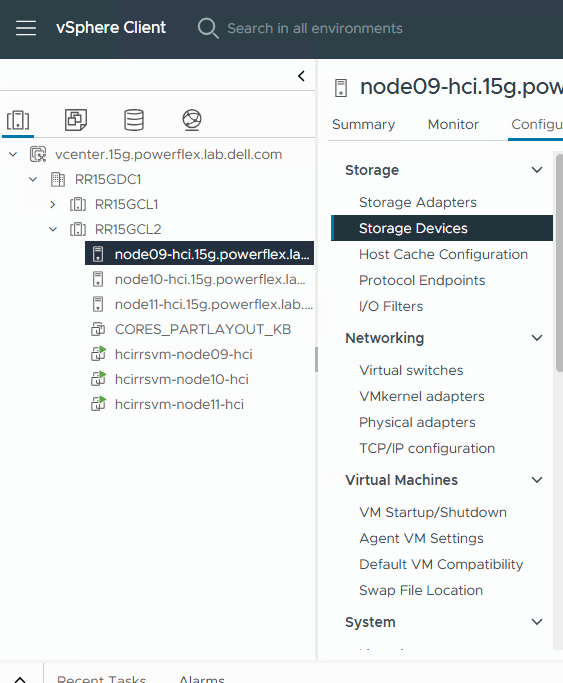 vSphere 儲存裝置
