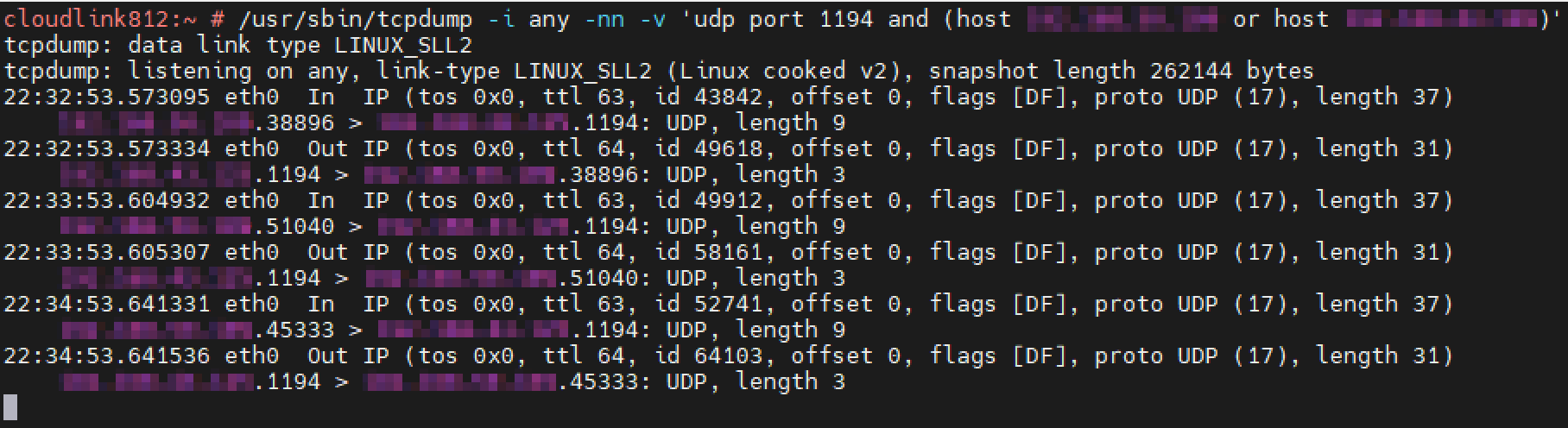 UDP port 1194 is open.