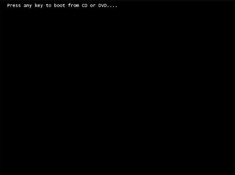 OSインストールメディアブート画面