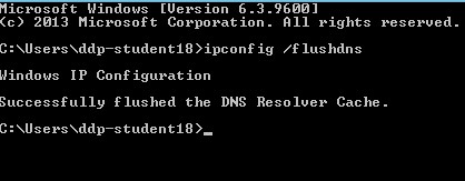 Escriba ipconfig /flushdns