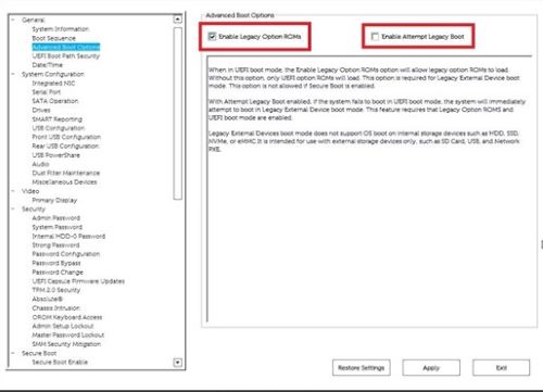 Advanced Boot Options