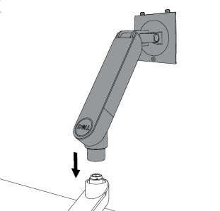Braço