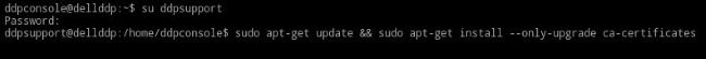 Skriv sudo apt-get update && sudo apt-get upgrade -y && sudo apt-get install --only-upgrade ca-certificates -y
