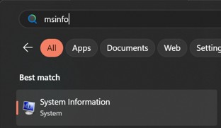 Başlat'ı seçin veya klavyenizde Windows tuşuna basın ve şunu yazın: msinfo ve Sistem bilgileri'ni seçin