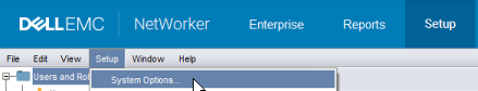 NetWorker Management Console – nabídka nastavení