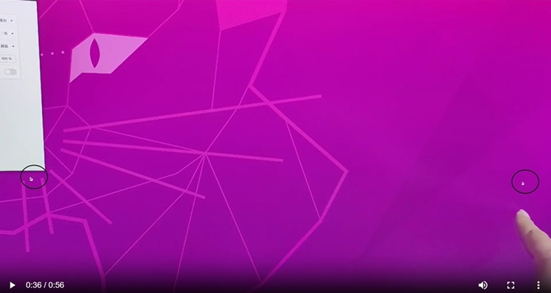 Подвійний покажчик миші Ubuntu версії 20.04 LTS