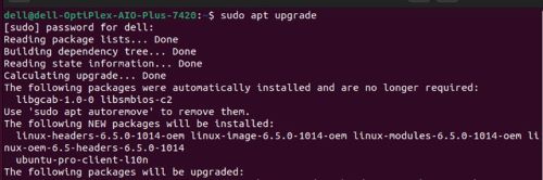 Skriv sudo apt upgrade