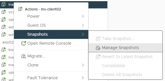 Alternativer for VMware-øyeblikksbilder