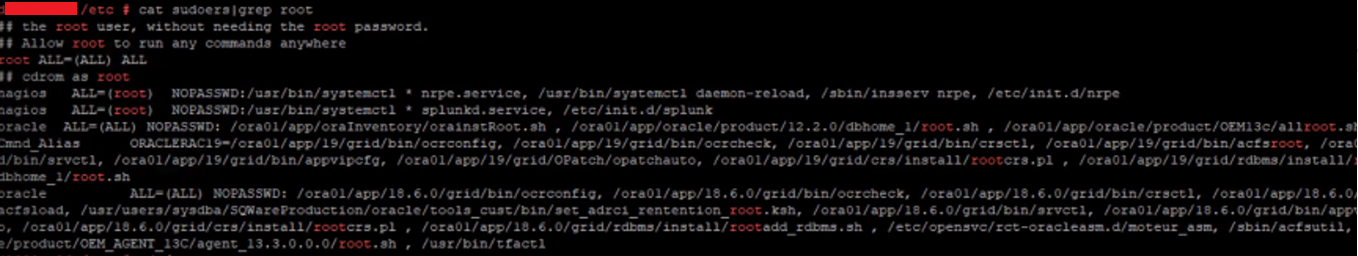 Снимок экрана выходных данных
