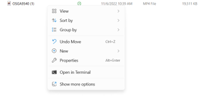 Right-clicking the video and selecting Properties