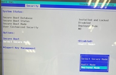 [Deployed Mode]を選択します。