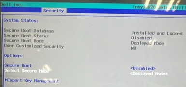 デプロイ モードに変更されているかどうかを確認します。