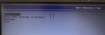 BIOS Recovery 페이지