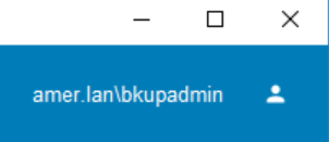 Exemplo de como o usuário externo aparece após o log-in