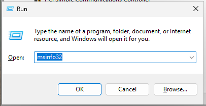 Opening Microsoft System Information (msinfo32)