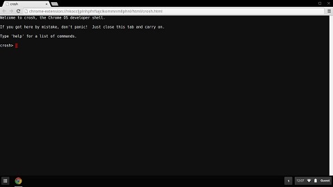Crosh on a Chromebook 11