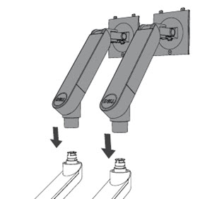 Parte superiore delle braccia