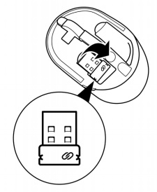 SLN322676_en_US__3dell_mobile-wireless-mouse-ms3320w_installing_battery2