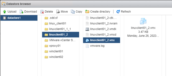 Datastore browser on ESXi