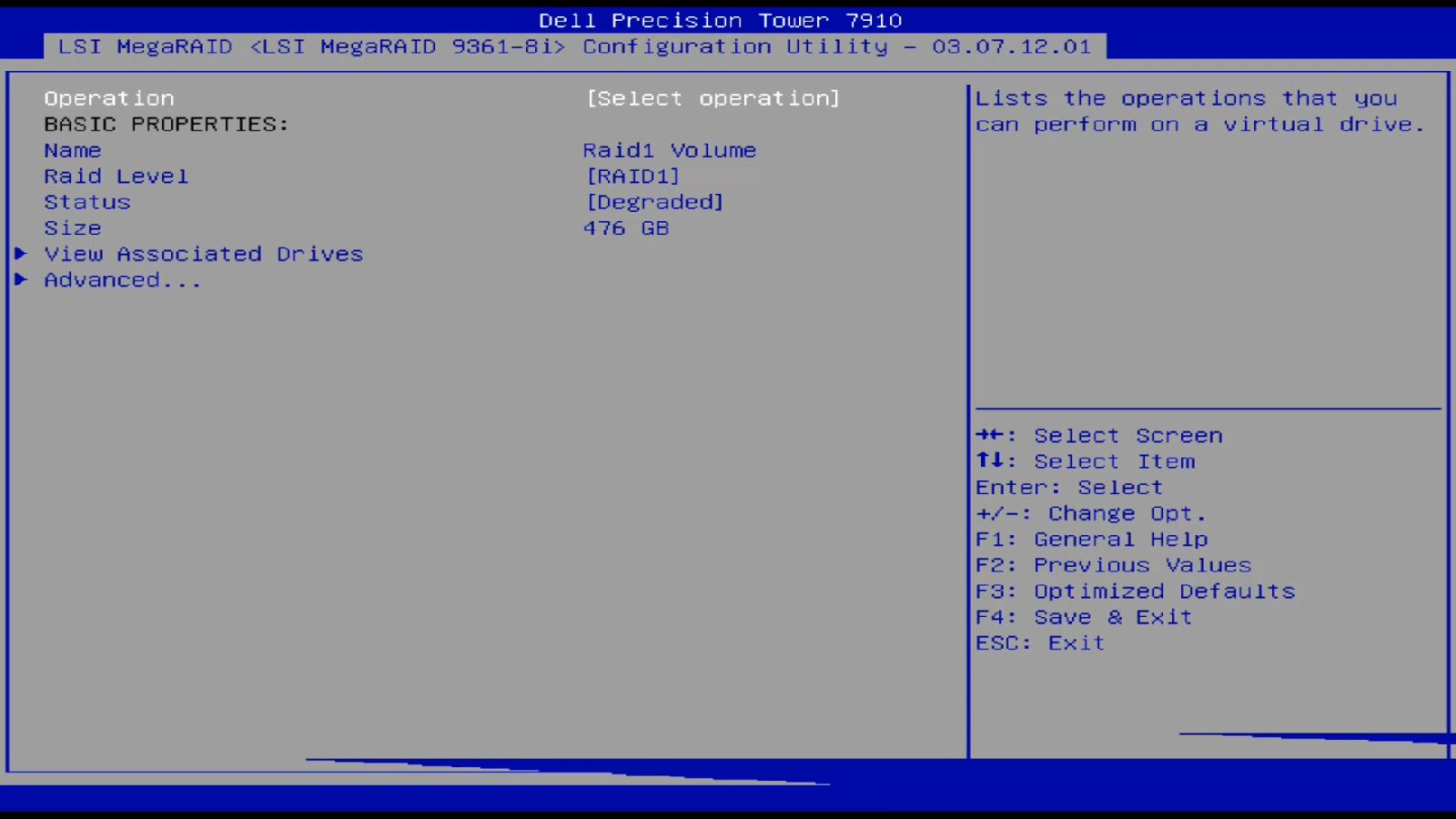 LSI RAID detailed view