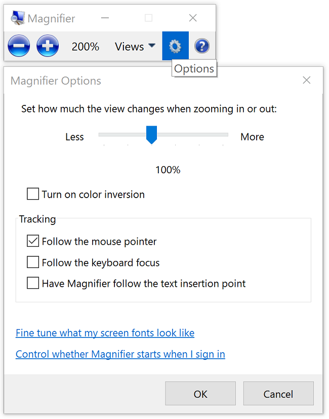 Magnifier Option