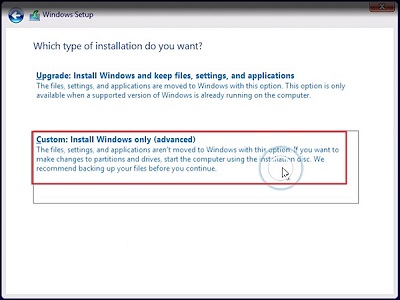 Figure 10. Select Advanced installation