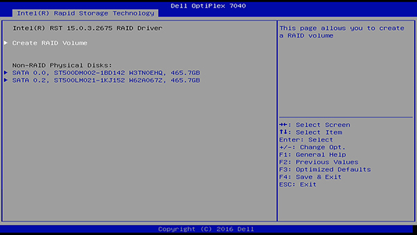 Intel RAID Menu
