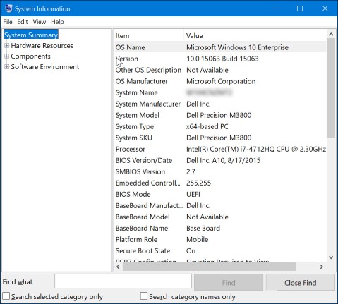 系統資訊中 BIOS 版本的螢幕擷取畫面