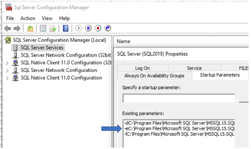 Screenshot of Startup Parameters Section