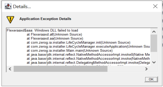 Application Exception Details