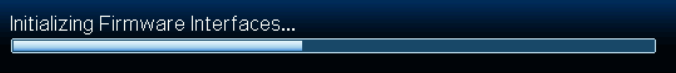 Initializing Firmware Interfaces…